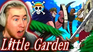 THE 100 YEAR DUEL | One Piece REACTION: Little Garden Arc