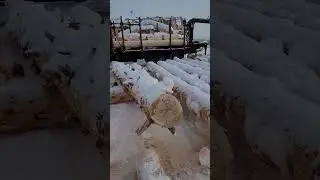 Длинномер для сруба.