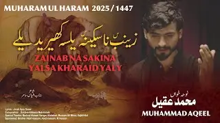 MUHARRAM 2025||ZAINAB NA SAKINA YALSA KHARAID YALAY||MUHAMMAD AQEEL||BALTI NOHA