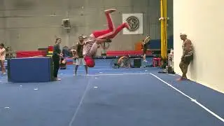 Martial arts tricker demonstrates masterful flips