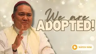 We are Adopted!