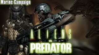 AVP 2010 (MARINE CAMPAIGN)|THEY