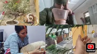 My first vlog 
