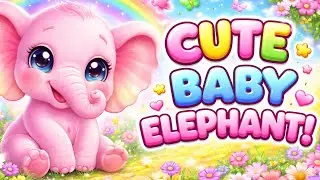 hathi raja Cute Pink Baby Elephant Dancing 🌈 | Fun Kids Animation | Magical Jungle Story