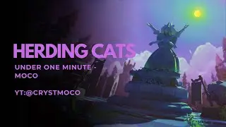 Herding Cats | Under 1 Minute 