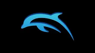 How to add cheats on Dolphin Emulator-HD