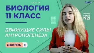 Движущие силы антропогенеза. Видеоурок 15. Часть 1. Биология 11 класс