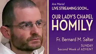 Jean-Baptiste exhorte &agrave; la v&eacute;ritable repentance - 7 d&eacute;cembre - Hom&eacute;lie - P&egrave;re Bernard
