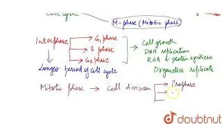 In 24 hour average duration of cell cycle of a human cell, cell division proper lasts for only a