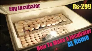 How To Make A Egg Incubator At Home || W1209 Module || DIY Incubator🔥🔥