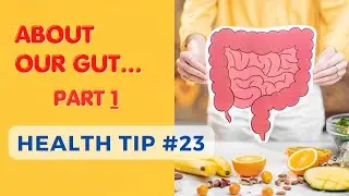 HT#23: Intestinal Structure & Function (Đường Ruột: Cấu tr&uacute;c & Chức năng)