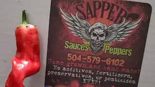 🌶🧑&zwj;🌾🌶🧑&zwj;🌾🌶 Peter Pepper 🌶🧑&zwj;🌾🌶🧑&zwj;🌾🌶