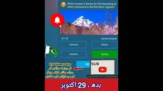 29th October 2025 | Wednesday | My Telenor App Today Questions Answers #mytelenoranswerstoday
