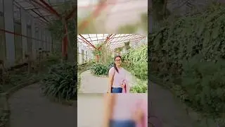 #shortsyoutube#shorts #gangtok#sikkim #gangtoksikkim #sikkimtour#reels#reelsvideo @tomaderana3031