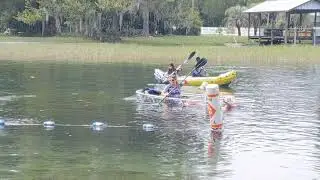 Two big dogs in a see thru canoe.