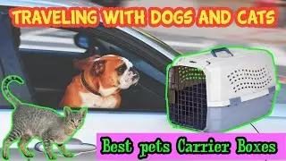 How to Select the Right Dog and Cat travel Carrier Box