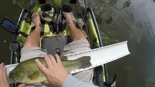 Bass Fishing 4,25 point&rsquo;s Occoquan Reservoir, Fountainhead Regional Park Virginia, Burke, Potomac