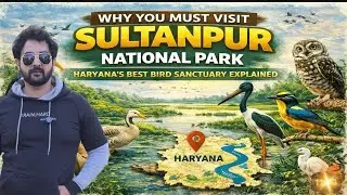 📣VLOG 97 - Sultanpur National Park , Haryana
