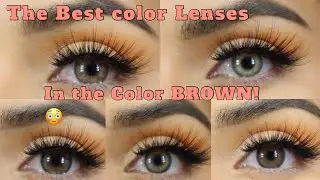 Top 6 Color Lenses in the Color Brown! |JUST4KIRA *realistic Lenses!