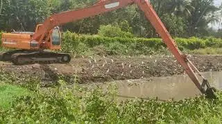 Removing Water plants / Water Canal Cleaning