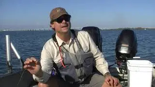 How to Hook Sand Trout for Bull Redfish or Shark Bait