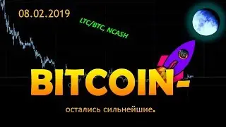Bitcoin - время пришло. LTC\BTC, NCASH - обзор