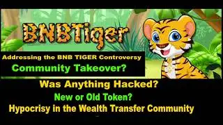 BNB TIGER Community Takeover? New or Old Token?  Hypocrisy in the Wealth Transfer Community