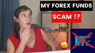 My Forex Funds Shutdown: What Happened and What It Means for Traders