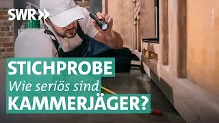 Wie gut sind Schädlingsbekämpfer? Handwerker-Stichprobe | Marktcheck SWR