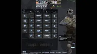 CS SILVER ELITE TEAM