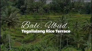 【4K 60 FPS】Bali Walking Tour - Tegallalang Rice Terrace
