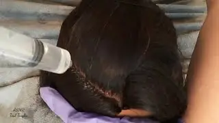 ASMR Scalp Check/Treatment with Gloves | No Talking | Mannequin Head