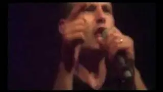 The Valkyrians - Do You really Wanna Know