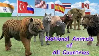 National Animal Of The World | National Animal |   Flags and Countries Name | World History