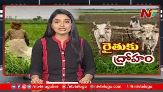 Fake Seeds Continue To Trouble Farmers In Telangana | Special Focus | NTV