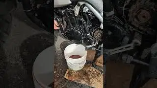 Triumph Tiger 955i 2006 - How dirty is the coolant