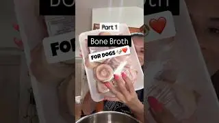 How to Make Bone Broth for Dogs 🐶 | Boost Immunity, Joints & Gut Health Naturally