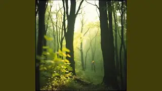 Whispers of the Wild