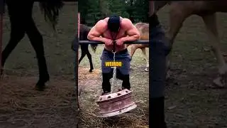 Том Хэвиленд &mdash; СИЛЬНЕЙШИЙ ЧЕЛОВЕК, О КОТОРОМ ВЫ НИКОГДА НЕ СЛЫШАЛИ! 💪