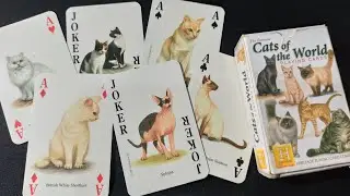 The Famous Cats of the World Playing Cards
