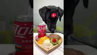 Try the taste of Coke #Dry Dog's Daily Life #Cute Pet Food Diary #When You Have a Greedy Puppy
