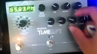 Strymon TimeLine - Tutorial - Matheus Carvalho