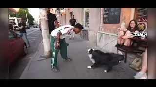 Ishowspeed has bark battle with dog !