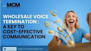 Wholesale Voice Termination : A Key to Cost-Effective Communication
