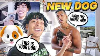 SURPRISING PRETTYBOIBALLO W/ A PUPPY!! + GOT MY OWN 🥺🐶