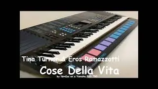 Tina Turner & Eros Ramazzotti - Cose Della Vita / Yamaha PSS 780 (instrumental cover)