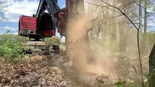 TimberPro TL735C Feller Buncher with Quadco Hot Saw