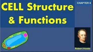 Cell structure and function - CBSE Class 8 Chapter 8 explanation and question answers