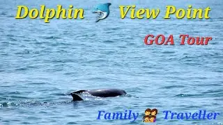 Candolim Beach Dolphin Tour, North Goa