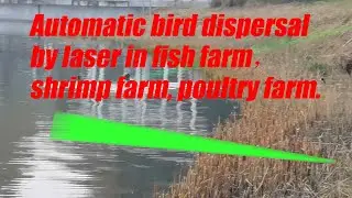 Automatic bird dispersal by laser in fish farm，shrimp farm, poultry farm.